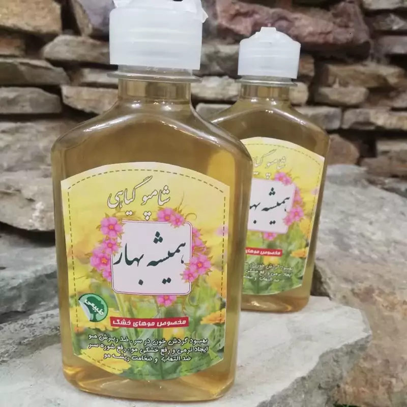 شامپو همیشه بهار مخصوص موهای خشک