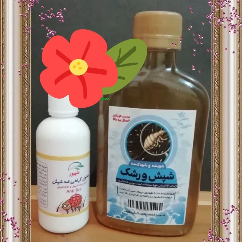 شامپو گیاهی ازبین بردن شپش ورشک