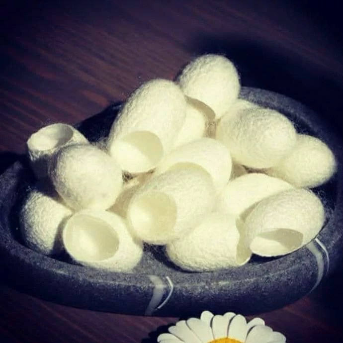 پیله کرم ابریشم کلاژن ساز پوست ابرسان پوست  بستن منافذ پوست 30تایی