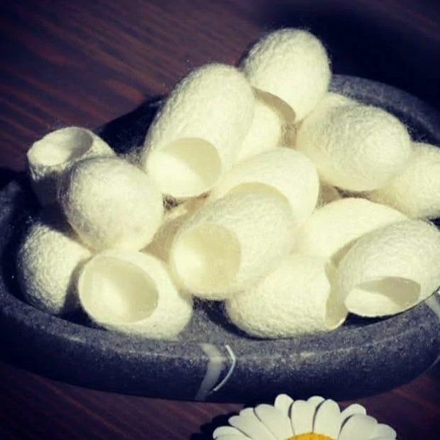 آبرسان رفع جوشهای سرسیاه زیرپوستی پیله ابریشم   10تایی