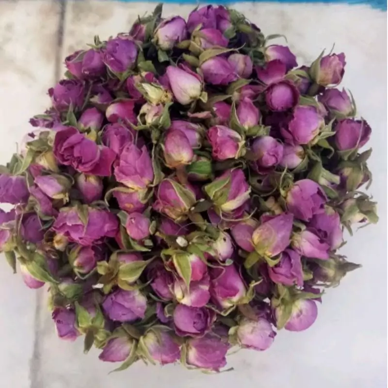 غنچه گل محمدی آرام بخش