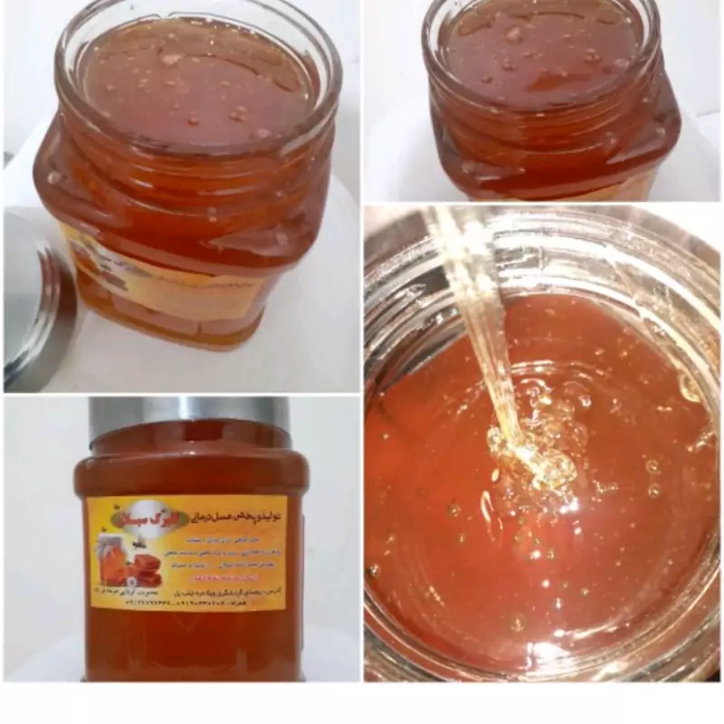عسل ارگانیک وحشی (کوهستان)